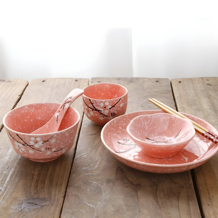 Japanese Spring Tableware Spring Blossom 6-Piece Japanese Style Dinnerware – W28th