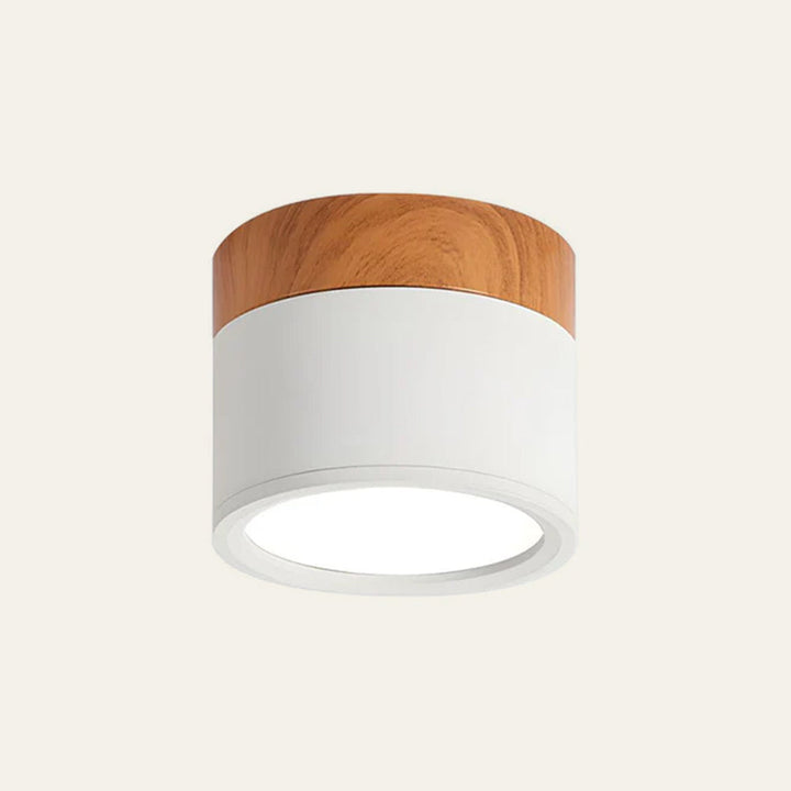 Lunara | Modern Energy-Efficient LED Flush Mount Ceiling Light 0