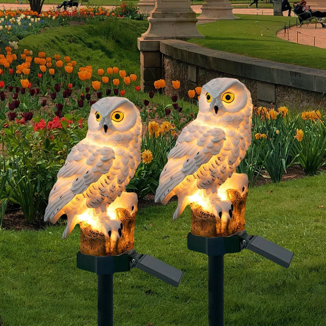 Lunara | Solar Outdoor Lights – Charming Owl Design, Weatherproof Resin 0