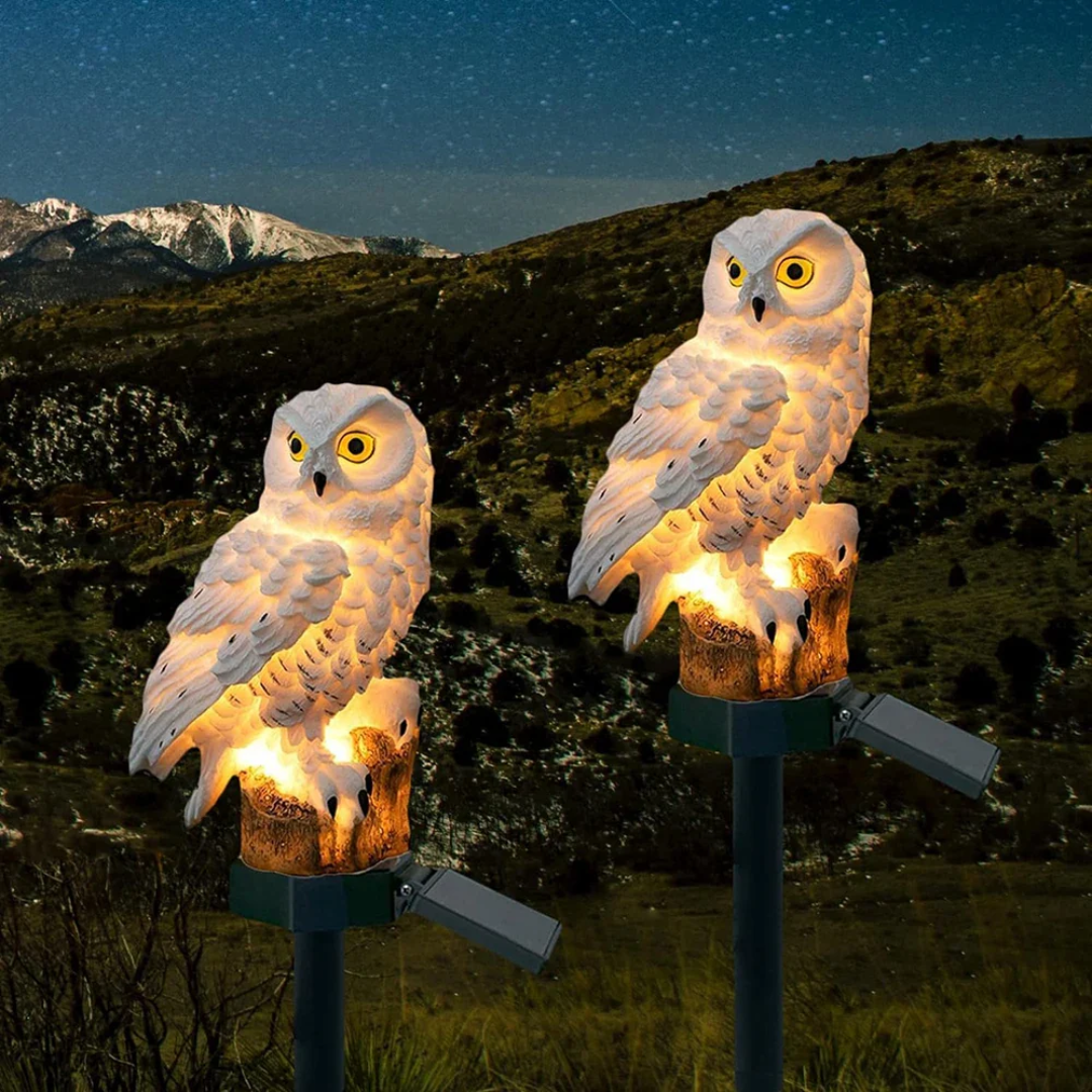 Lunara | Solar Outdoor Lights – Charming Owl Design, Weatherproof Resin 1