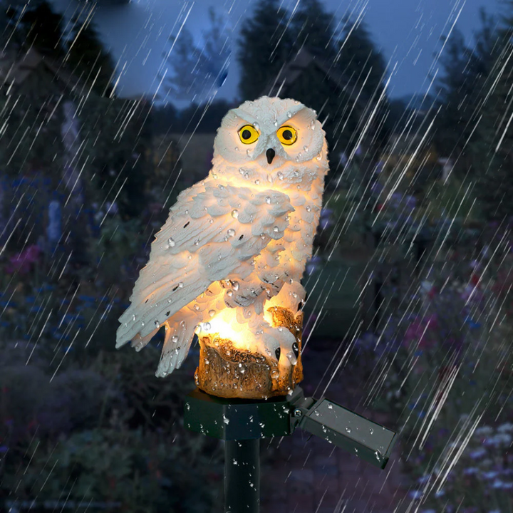 Lunara | Solar Outdoor Lights – Charming Owl Design, Weatherproof Resin 2