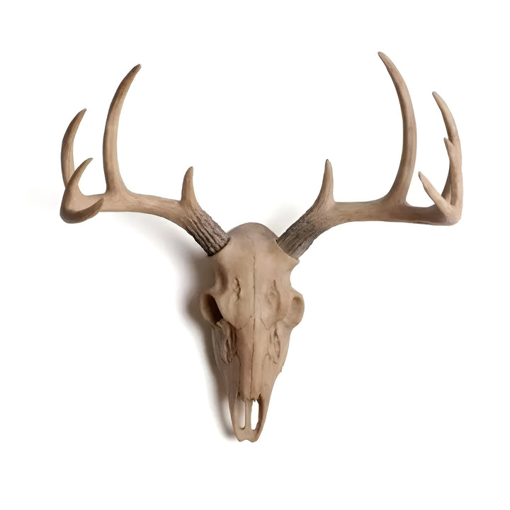 Ridgehorn | Faux Deer Skull Wall Hanging – Rustic Antler Wall Art for Lodge & Living Room 1
