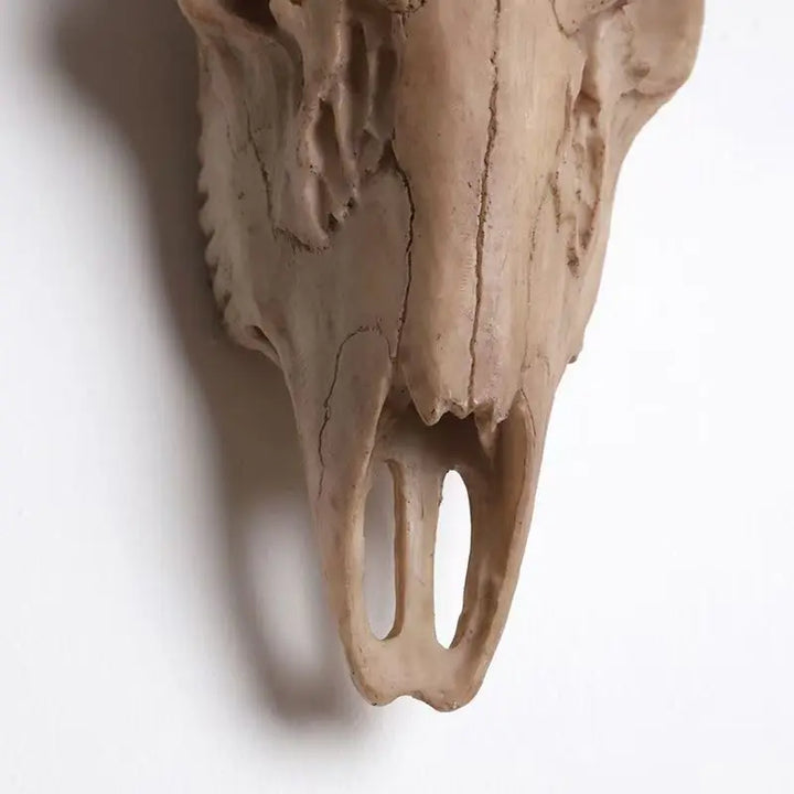 Ridgehorn | Faux Deer Skull Wall Hanging – Rustic Antler Wall Art for Lodge & Living Room 6
