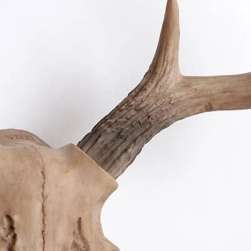 Ridgehorn | Faux Deer Skull Wall Hanging – Rustic Antler Wall Art for Lodge & Living Room 7