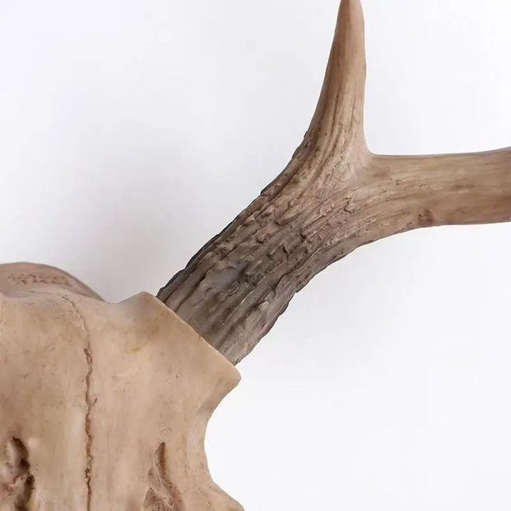 Ridgehorn | Faux Deer Skull Wall Hanging – Rustic Antler Wall Art for Lodge & Living Room 7